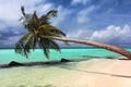 Maldives Royalty Free Stock Photo