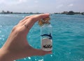 a maldives with a sand bottle at the sea
