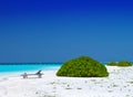 Maldives. A sandy beach and an ocean coast.