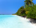 Maldives. A sandy beach and an ocean coast.