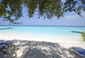 Maldives. A sandy beach and an ocean coast.