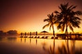 Luxury beach pool scene. Palm trees and infinity pool on Maldives beach Royalty Free Stock Photo