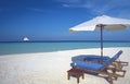 Maldives tropical beach and Sun loungers