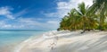 Maldives tropical islands panoramic scene, idyllic beach palm tree vegetation and clear water Indian ocean sea, tourist resort Royalty Free Stock Photo
