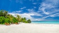 Maldives tropical islands panoramic scene, idyllic beach palm tree vegetation and clear water Indian ocean sea, tourist resort Royalty Free Stock Photo