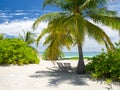 Maldives tropical islands panoramic scene, idyllic beach palm tree vegetation and clear water Indian ocean sea, tourist resort Royalty Free Stock Photo