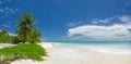 Maldives tropical islands panoramic scene, idyllic beach palm tree vegetation and clear water Indian ocean sea, tourist resort Royalty Free Stock Photo