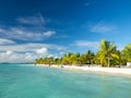 Maldives tropical islands panoramic scene, idyllic beach palm tree vegetation and clear water Indian ocean sea, tourist resort Royalty Free Stock Photo