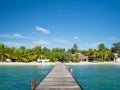 Maldives tropical islands panoramic scene, idyllic beach palm tree vegetation and clear water Indian ocean sea, tourist resort Royalty Free Stock Photo