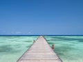 Maldives tropical islands panoramic scene, idyllic beach palm tree vegetation and clear water Indian ocean sea, tourist resort Royalty Free Stock Photo