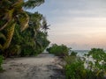 Maldives tropical islands panoramic scene, idyllic beach palm tree vegetation and clear water Indian ocean sea, tourist resort Royalty Free Stock Photo