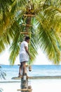 Maldivian muslim man climbing up to palm tree