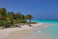 Maldivian Paradise with Sandy Beach and Coconut Tree Royalty Free Stock Photo