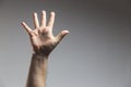 male adult hand showing number five gesture in studio shot isolated on grey background - Male hand palm Royalty Free Stock Photo