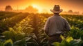 A male agronomist farmer in a tobacco field at sunset created with Generative AI