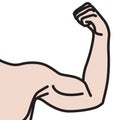 Male arms with flexed biceps muscles