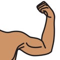 Male arms with flexed biceps muscles Royalty Free Stock Photo