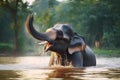 A male Asian elephant is enjoying bathing. Royalty Free Stock Photo