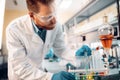 Handsome student of chemistry working in laboratory Royalty Free Stock Photo