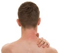 Male Back Neck Ache isolated on white - REAL Anatomy Royalty Free Stock Photo