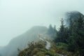 Male backpacker trekking on foggy summit in Swiss Alps Royalty Free Stock Photo