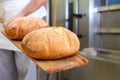 Male baker baking bread