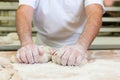 Male baker baking bread Royalty Free Stock Photo