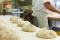 Male baker baking bread Royalty Free Stock Photo