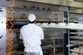Male baker baking bread Royalty Free Stock Photo