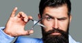 Male in barbershop, haircut, shaving. Bearded man isolated on gray background. Mans haircut in barber shop. Barber Royalty Free Stock Photo