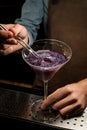 Male bartender decorated purple alcoholic cocktail in a martini glass with a red flower by tweezers