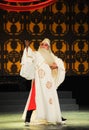 A male beijing opera performer