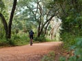 Male bicyclist rides rural roads in forest.