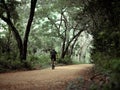 Male bicyclist rides rural roads in jungle. Tropical climate.