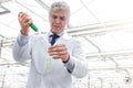 Male biochemist pouring chemical in test tube with pipette in plant nursery Royalty Free Stock Photo