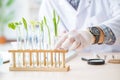 The male biochemist working in the lab on plants Royalty Free Stock Photo