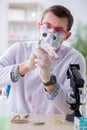 The male biochemist working in the lab on plants Royalty Free Stock Photo
