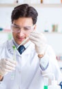 Male biochemist working in the lab on plants Royalty Free Stock Photo