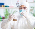 Male biochemist working in the lab on plants Royalty Free Stock Photo