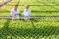 Male biochemists discussing over seedlings while standing in plant nursery Royalty Free Stock Photo