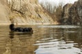 Male black and gold Hovie bathes in the famous Prague lake