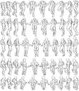 50 Male Bodies (2-20) 3D to 2D