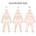 Male Body Ayurvedic Body Constitution Types Royalty Free Stock Photo