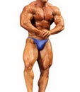 Male Body Builder