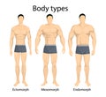 Male body types. Royalty Free Stock Photo