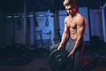 Male bodybuilder champion exercises with heavy weight barbell plate in gym. Royalty Free Stock Photo