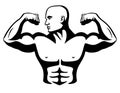 Male Bodybuilder Flexing Muscles Isolated Vector Illustration Royalty Free Stock Photo