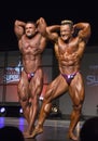 Male Bodybuilders: Dynamic Granite Duo