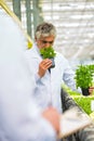 Male botanist smelling herbs in plant nursery