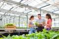 Male botanists discussing with female coworkers while standing amidst seedlings in greenhouse